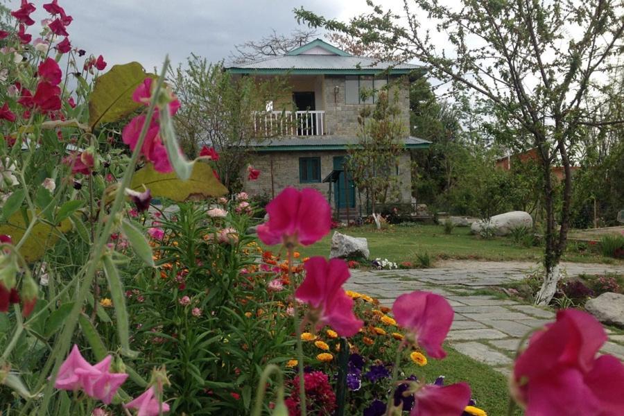 Nagri Resort Pālampur Buitenkant foto
