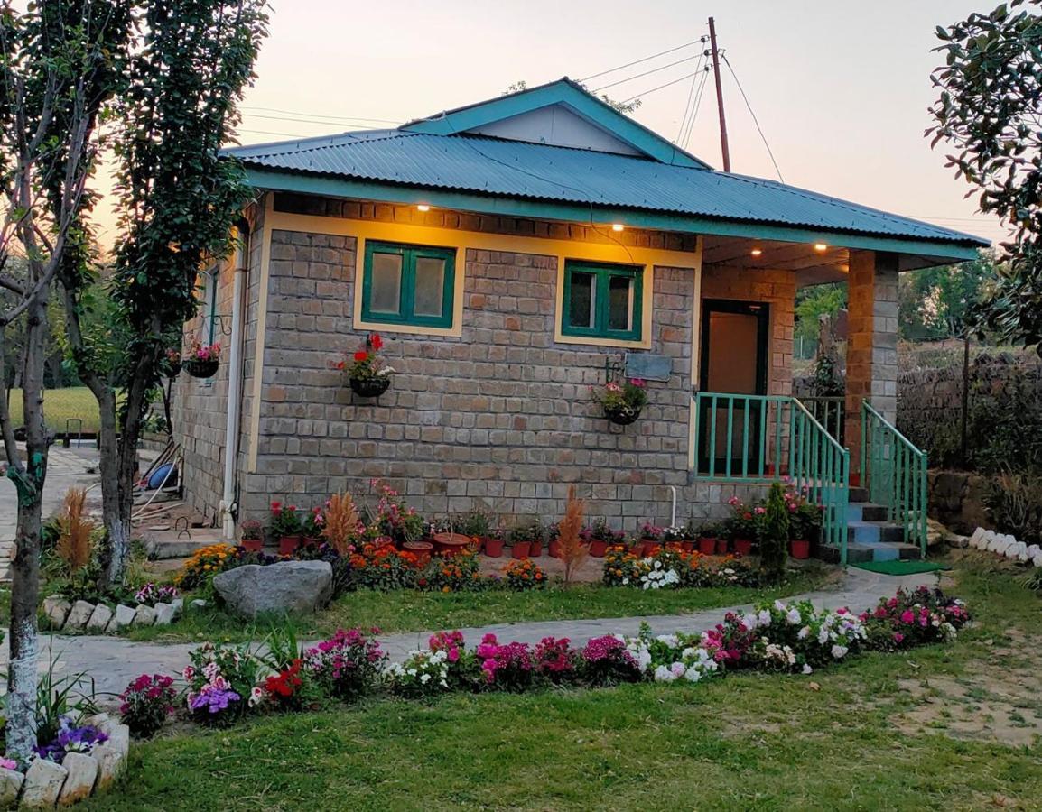 Nagri Resort Pālampur Buitenkant foto