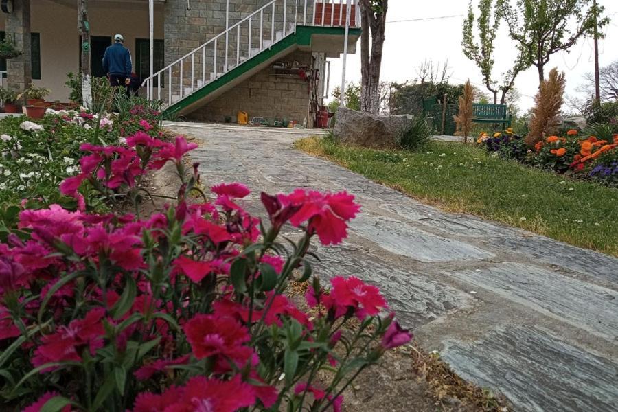 Nagri Resort Pālampur Buitenkant foto
