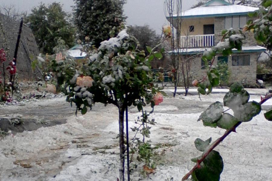 Nagri Resort Pālampur Buitenkant foto