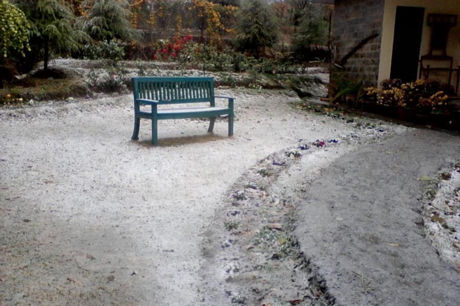 Nagri Resort Pālampur Buitenkant foto
