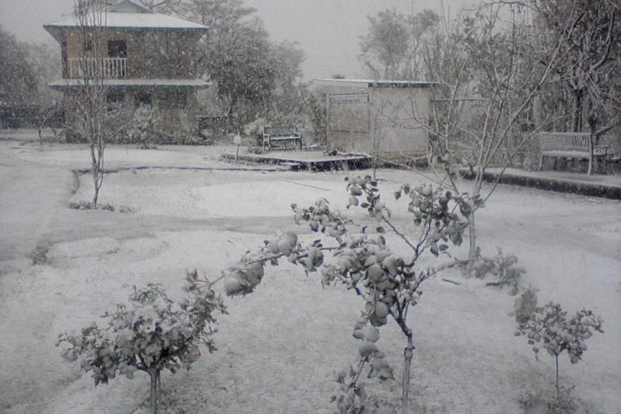 Nagri Resort Pālampur Buitenkant foto