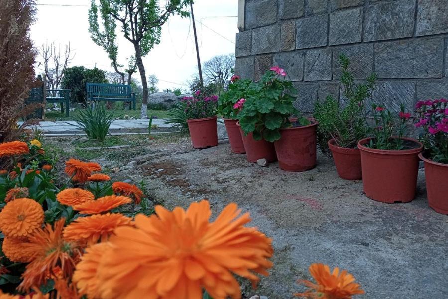 Nagri Resort Pālampur Buitenkant foto