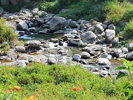 Nagri Resort Pālampur Buitenkant foto